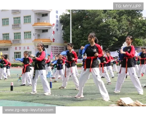 跆拳道学院完善青少年训练营的健康档案与应急响应流程,青少年跆拳道夏令营 跆拳道学院完善青少年训练营的健康档案与应急响应流程,青少年跆拳道夏令营