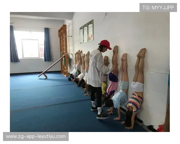 体操协会鼓励对旧器械进行翻新再利用